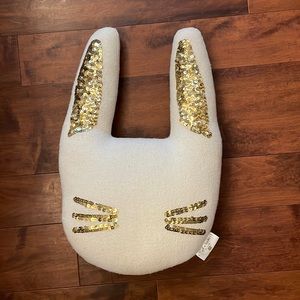 Pottery Barn Teen throw pillow